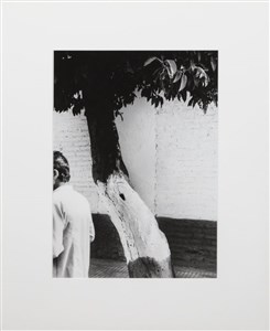 Image description is not available for 2010.153